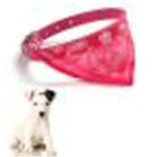 1PC small puppy pet collar with scarf Cut Dog Cat