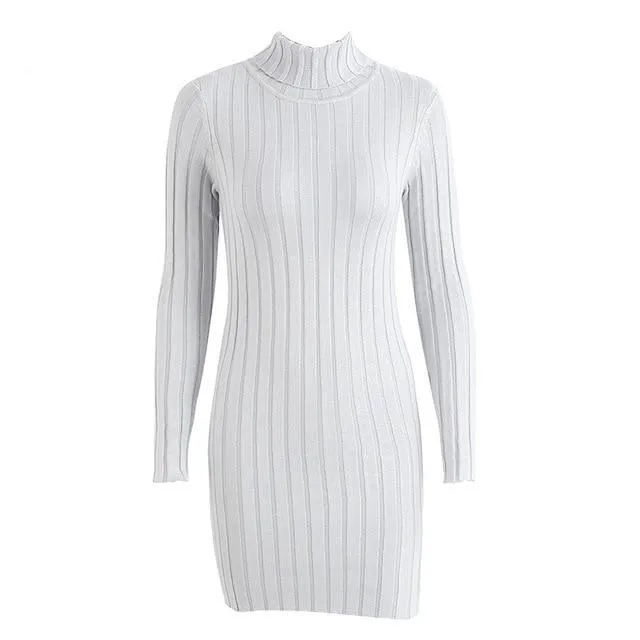 Casual Turtleneck Long Knitted Pullover Sweater Dress