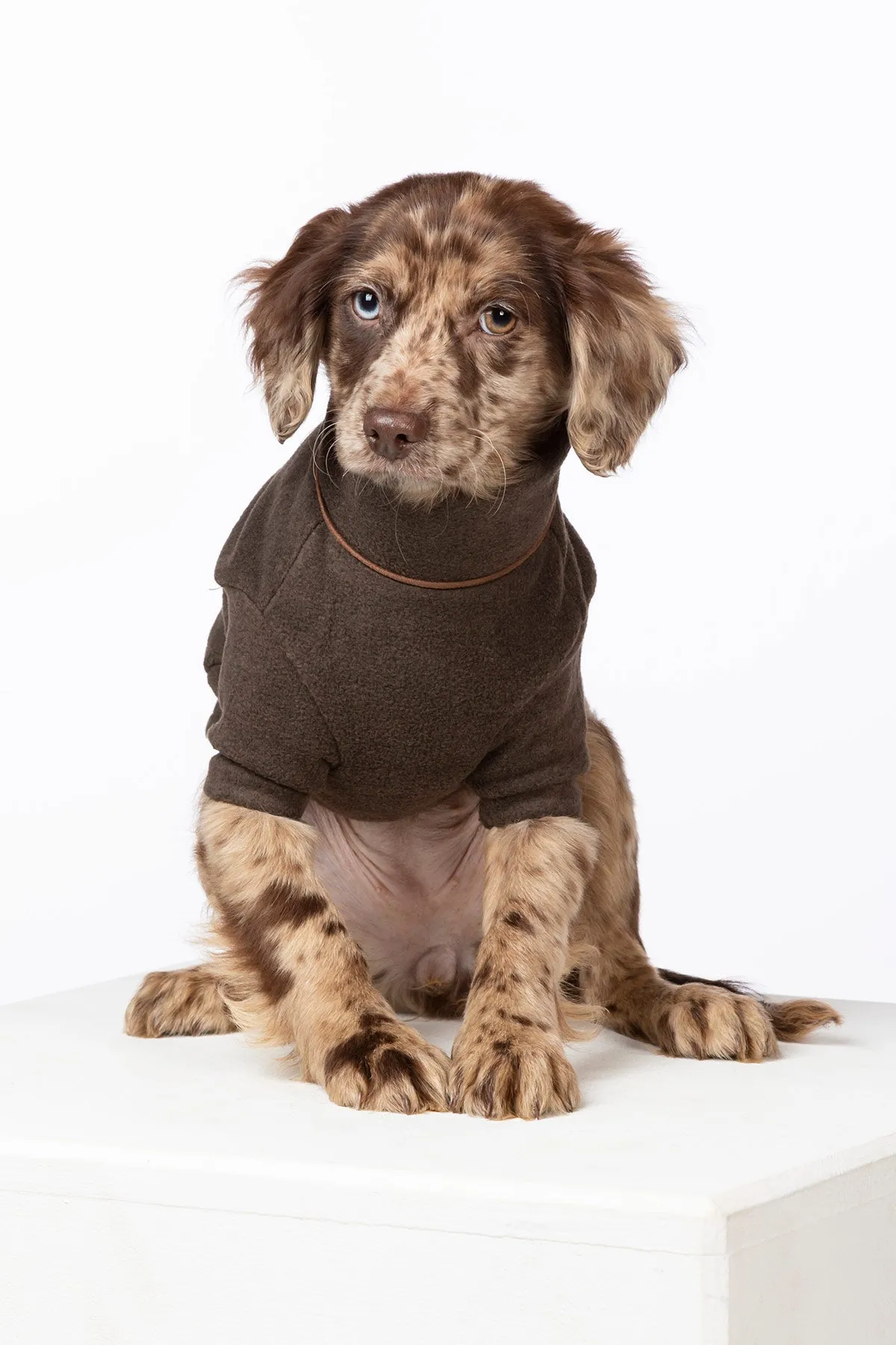 Fleece Dog Jumper - Huggate