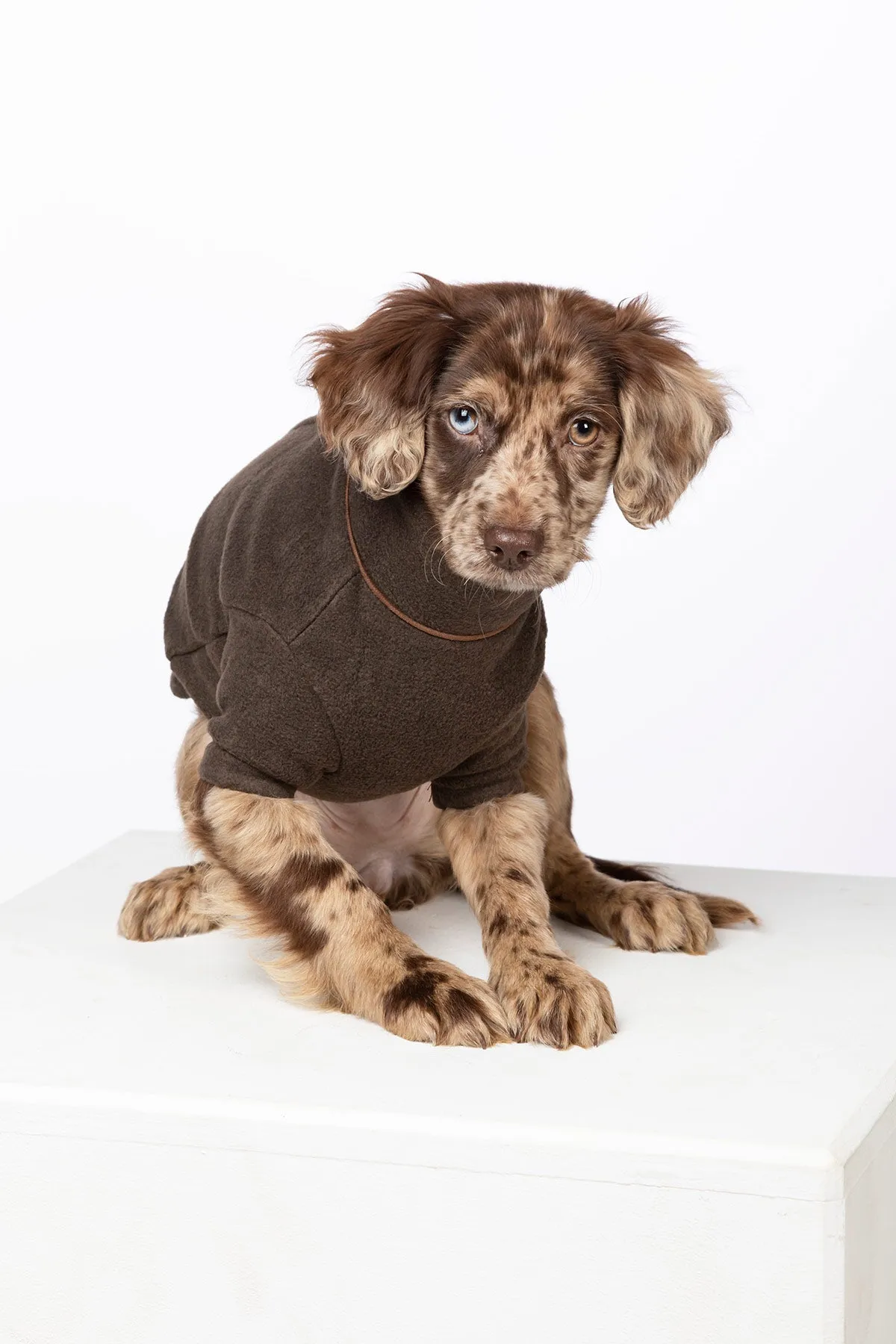 Fleece Dog Jumper - Huggate