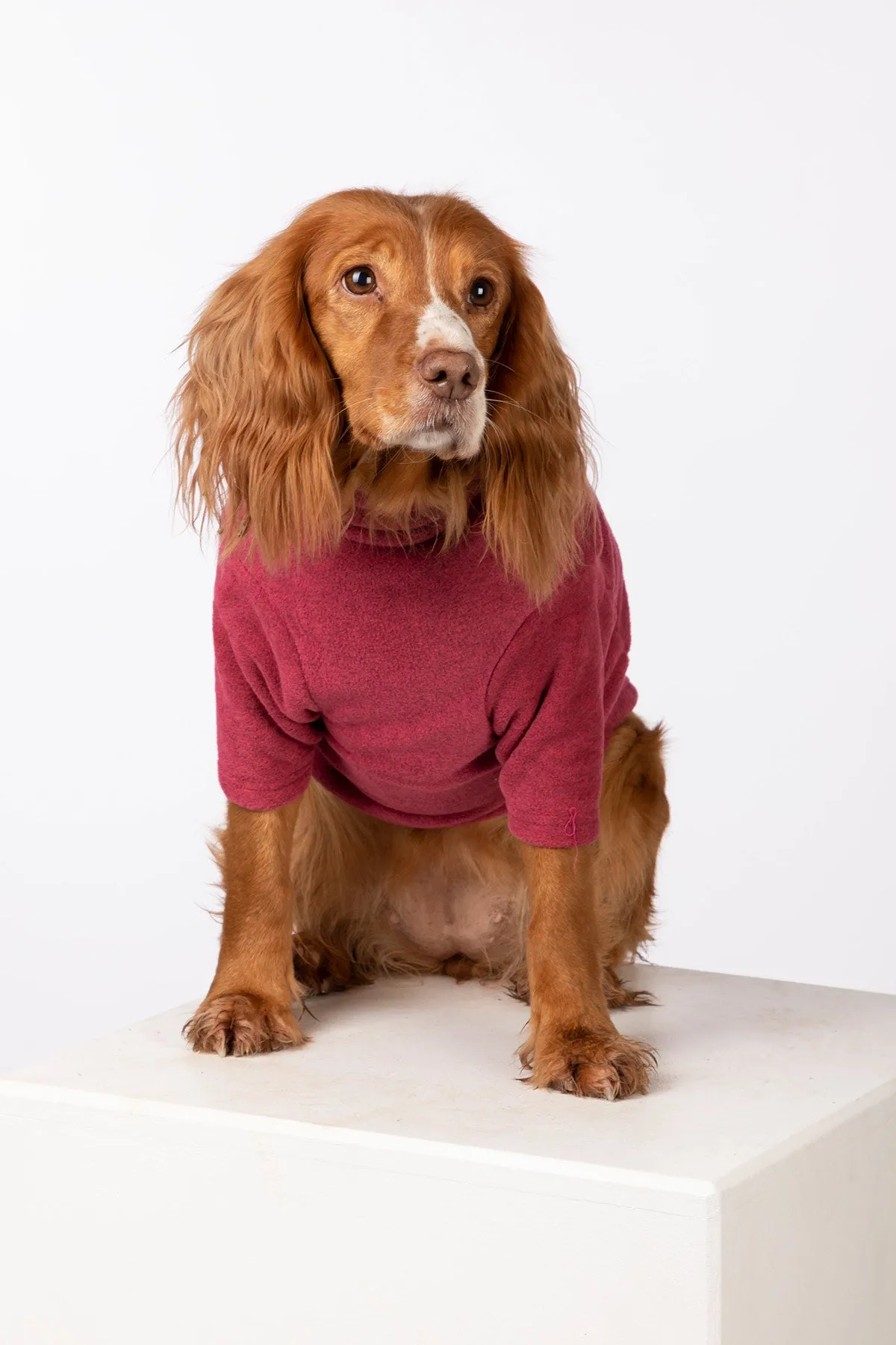 Fleece Dog Jumper - Huggate