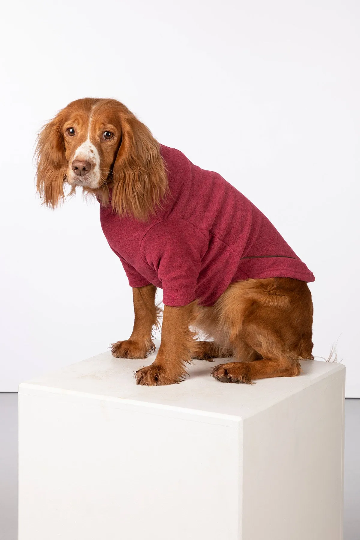 Fleece Dog Jumper - Huggate