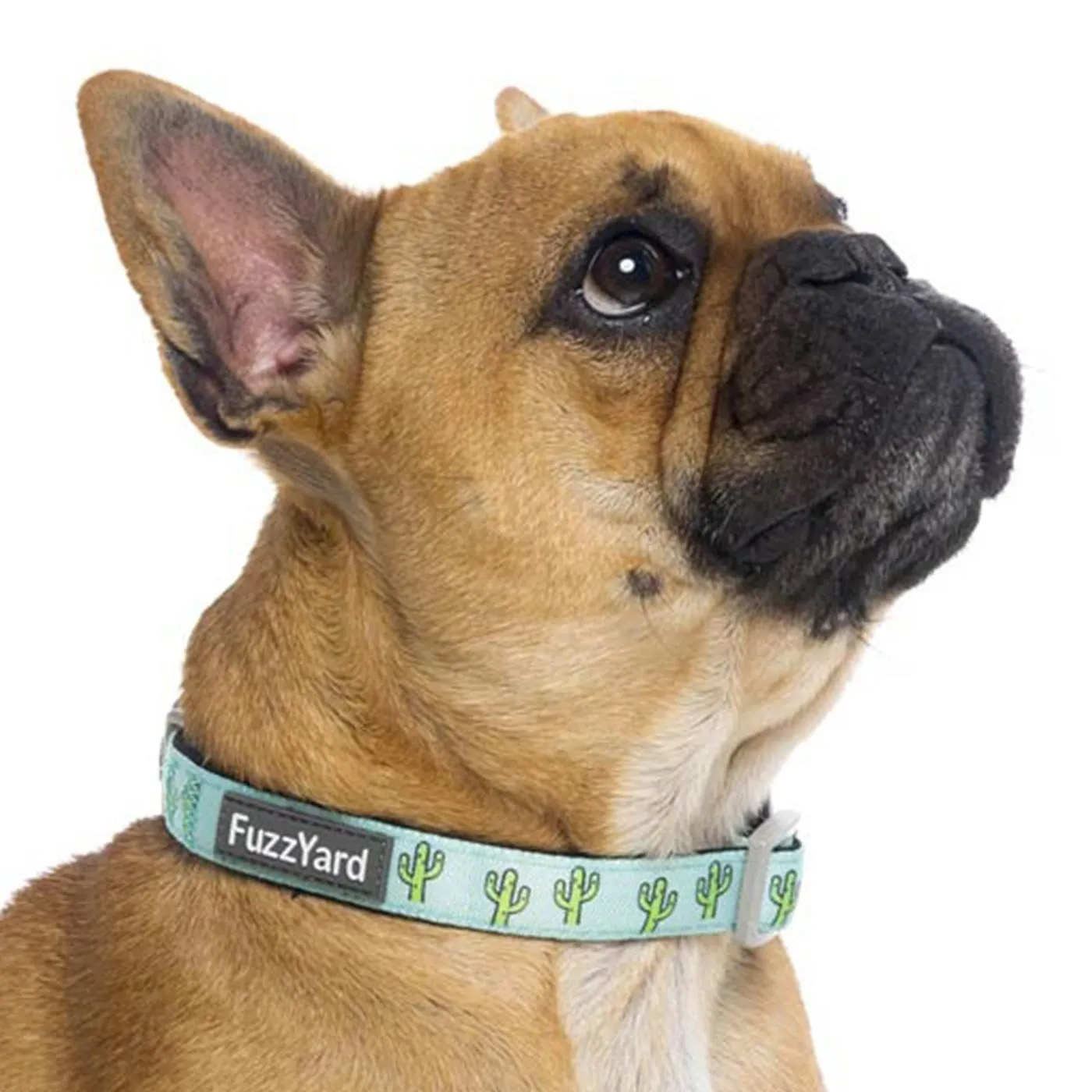 Fuzzyard Cactus Dog Collar