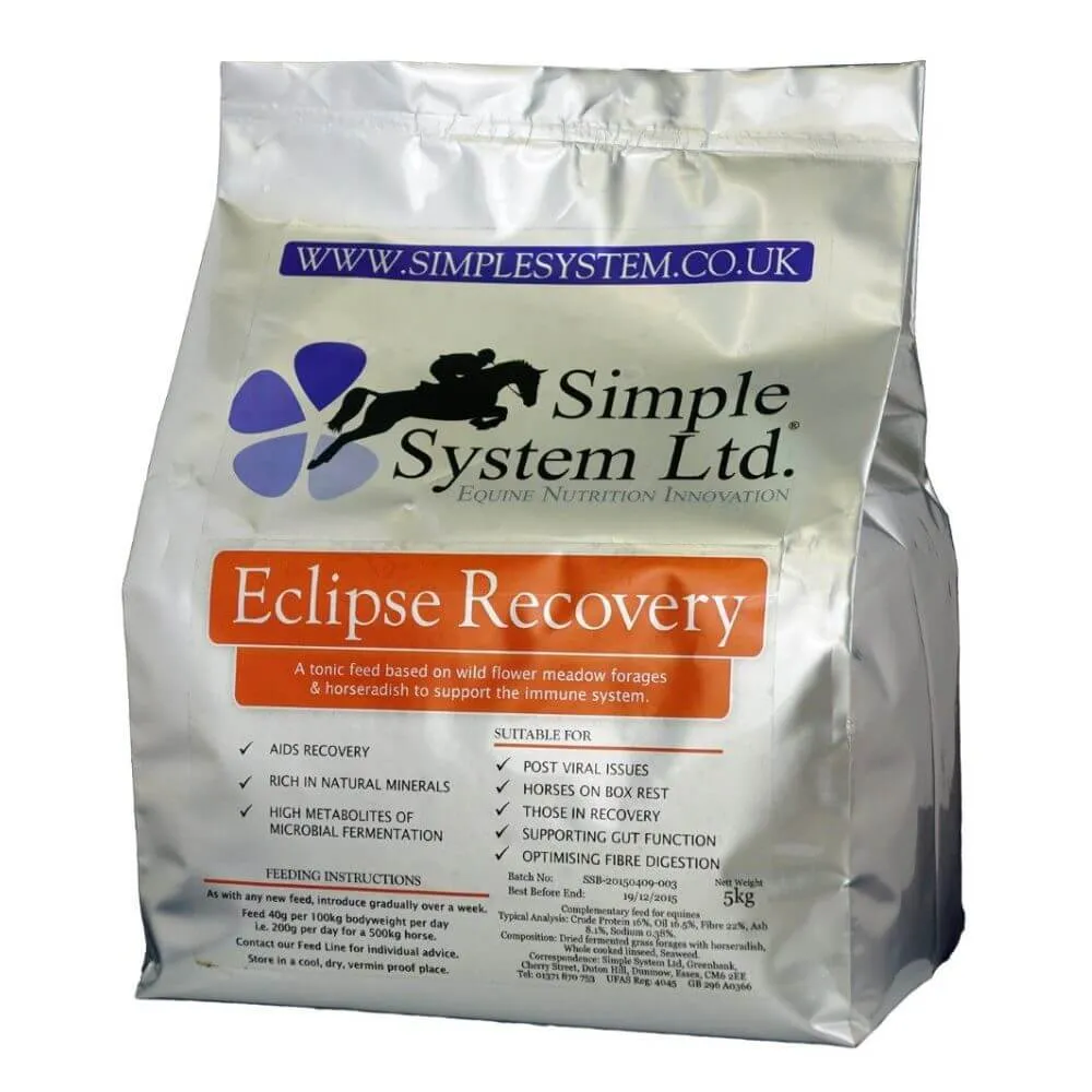 Simple System Eclipse Recovery for Horses