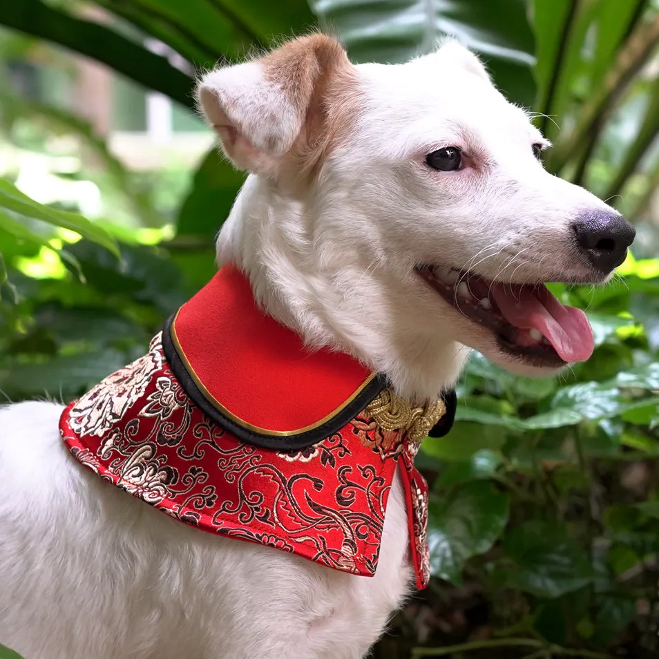 Spring Of Luck in Imperial Red CNY Cape